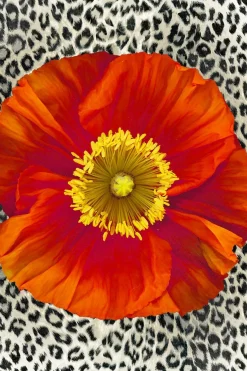 Apelt Kissenhülle braunrot