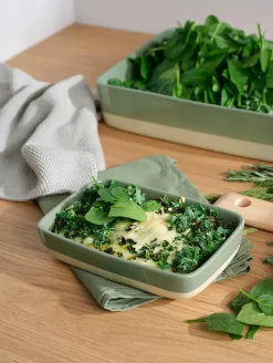 ASA Auflaufform grün