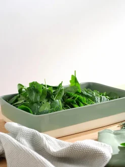 ASA Auflaufform rechteckig 21x14cm grün