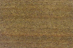 Astra Fußmatte braun