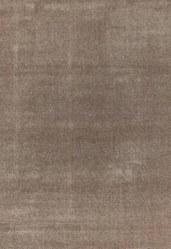 Astra Moderner Webteppich braun