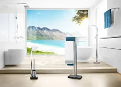 Blomus Toilettenbutler silberfarben