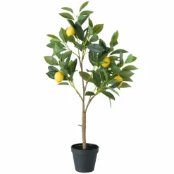 Boltze Topfpflanze mehrfarbig