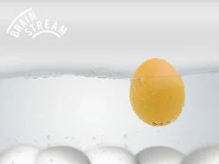 Brainstream Küken PiepEi weißgelb