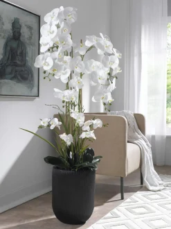 casa NOVA Orchidee 150cm schwarzweiß