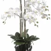 casa NOVA Orchidee 110cm schwarzweiß