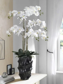 casa NOVA Orchidee 110cm schwarzweiß