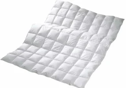 CENTA-STAR Dauneneinziehdecke 180g weiß