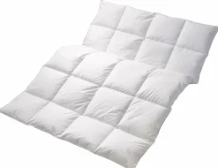 CENTA-STAR Dauneneinziehdecke 530g weiß
