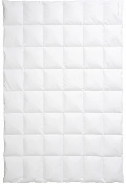 CENTA-STAR Dauneneinziehdecke 420g weiß