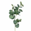 DPI Eukalyptuszweig grün