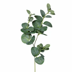 DPI Eukalyptuszweig grün
