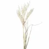 DPI Pampasgras 97cm beige