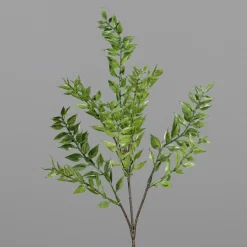 DPI Ruscuszweig grün