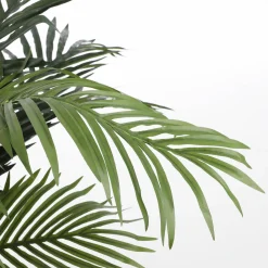 Edelman Grüne Bäume grün