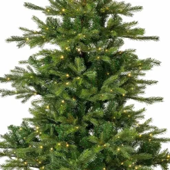 EVERLANDS Tannenbaum 180cm grün