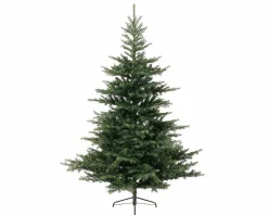 EVERLANDS Tannenbaum 180cm grün