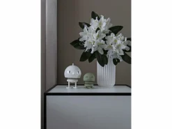 F&H Group Hoptimist Bumble M weiß