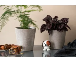 F&H Group Hoptimist Dog L weiß