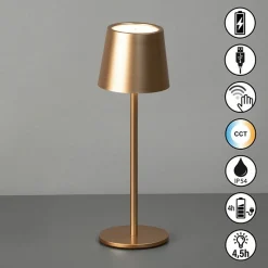 FH Lighting LED-Akku-Tischleuchte 1flg braun