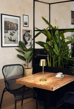 FH Lighting LED-Akku-Tischleuchte 1flg goldfarben