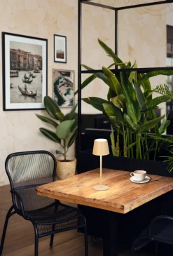 FH Lighting LED-Akku-Tischleuchte 1flg braun