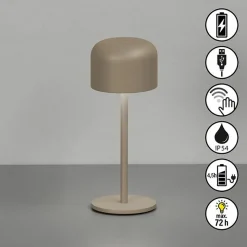 FH Lighting LED-Akku-Tischleuchte 1flg braungrau