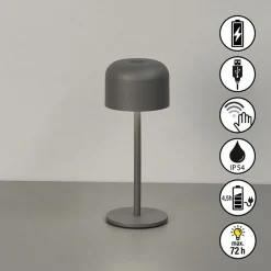 FH Lighting LED-Akku-Tischleuchte 1flg grau