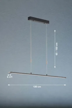 Fischer & Honsel LED-Pendelleuchte 1flg schwarz