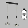 Fischer & Honsel LED-Pendelleuchte 2flg schwarz