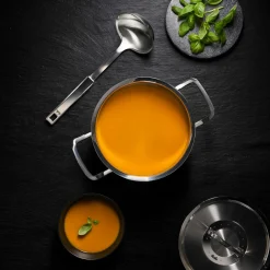 Fissler Kochtopf 24cm silberfarben