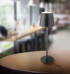 Globo LED - Akku - Tischleuchte 1flg mehrfarbig