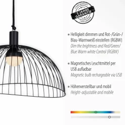 JUST LIGHT LED-Akku-Pendelleuchte 1flg schwarz