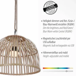 JUST LIGHT LED-Akku-Pendelleuchte 1flg braun