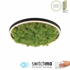 JUST LIGHT LED-Deckenleuchte 1flg grün