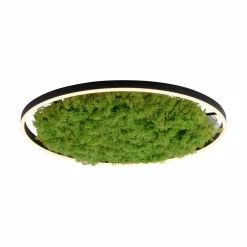 JUST LIGHT LED-Deckenleuchte 1flg grün