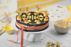 Kaiser Kuchenheber 37cm weiß