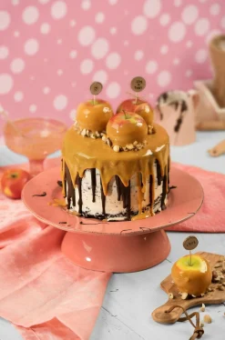 Kaiser Tortenring mit Griffen 16cm silberfarben