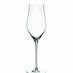 Leonardo Champagnerglas 200ml transparent