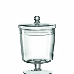 Leonardo Dose transparent