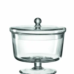 Leonardo Dose transparent