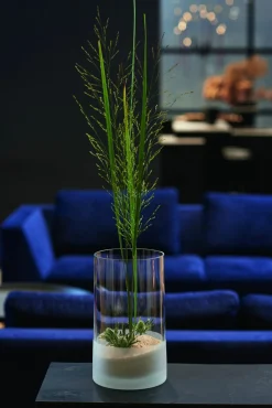 Leonardo Vase 26cm transparent