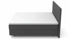 MONDO Boxspringbett braunschwarz