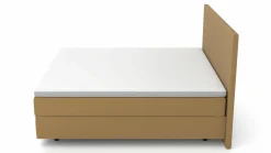 MONDO Boxspringbett braun