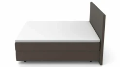 MONDO Boxspringbett braun