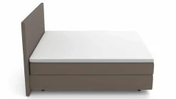 MONDO Boxspringbett braun