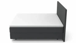MONDO Boxspringbett grau