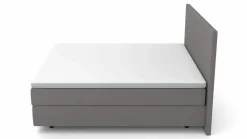 MONDO Boxspringbett grau