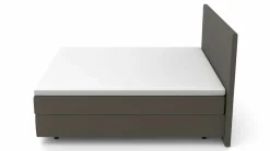 MONDO Boxspringbett grau