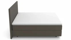 MONDO Boxspringbett grau